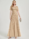 Champagne Sequin Tulle Mermaid Evening Dress-Nomi