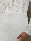 Sheath Lace Chapel Train V-Neck Wedding Dress With Sleeves