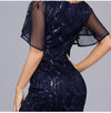 Plus Size  Dusty Rose Sequined Lace Mermaid Evening Dress-Naava